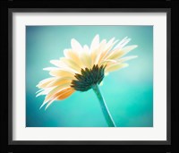 Vanity Fine Art Print