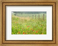 Flowers and Fence Fine Art Print