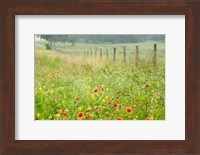 Flowers and Fence Fine Art Print