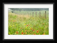 Flowers and Fence Fine Art Print