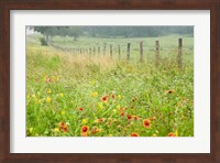 Flowers and Fence Fine Art Print