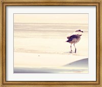Bird at The Beach Fine Art Print