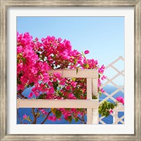 Santorini Blooms Fine Art Print