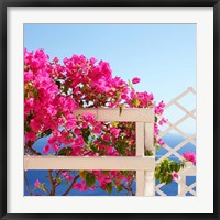 Santorini Blooms Fine Art Print