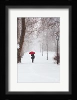 Winter Rose Fine Art Print
