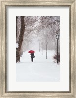 Winter Rose Fine Art Print