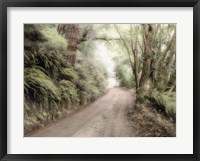 Lost Coast Road Fine Art Print