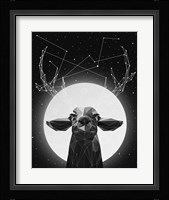 Banyon Deer Fine Art Print