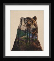 Bear Lake Fine Art Print