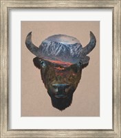 Bison Peak Fine Art Print