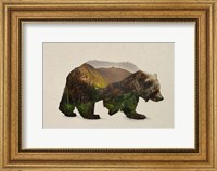 North American Brown Bear Fine Art Print