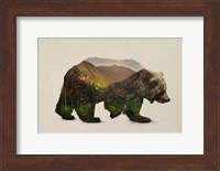 North American Brown Bear Fine Art Print