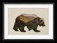 North American Brown Bear Fine Art Print