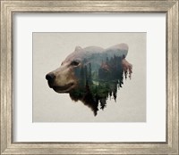 Pacific Northwest Black Bear Fine Art Print