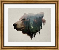 Pacific Northwest Black Bear Fine Art Print