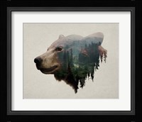 Pacific Northwest Black Bear Fine Art Print