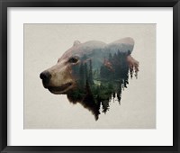 Pacific Northwest Black Bear Fine Art Print