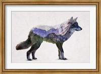 Rocky Mountain Grey Wolf Fine Art Print