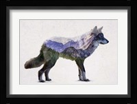 Rocky Mountain Grey Wolf Fine Art Print
