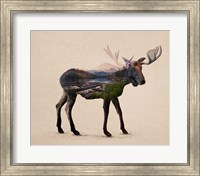 The Alaskan Bull Moose Fine Art Print