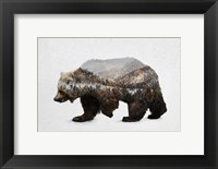 The Kodiak Brown Bear Fine Art Print