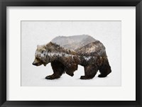 The Kodiak Brown Bear Fine Art Print