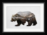 The Kodiak Brown Bear Fine Art Print