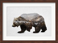 The Kodiak Brown Bear Fine Art Print