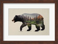 The North American Black Bear Fine Art Print