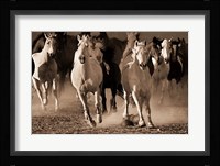 About Face Fine Art Print