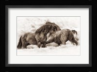 Brothers Fine Art Print