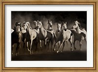 Dream Horses Fine Art Print