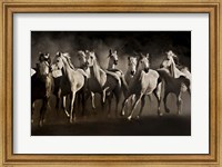 Dream Horses Fine Art Print