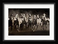 Dream Horses Fine Art Print