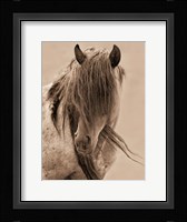 Freedom Fine Art Print