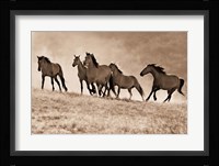 Kicking Dust Fine Art Print