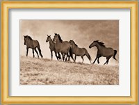 Kicking Dust Fine Art Print