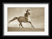 Like the Wind Fine Art Print