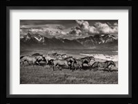 Mountain Range Mavericks Fine Art Print