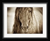 Mustang Sally Fine Art Print
