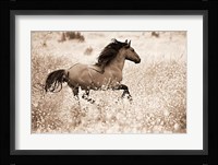 Running Free Fine Art Print