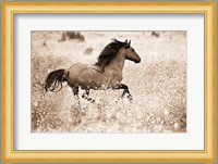 Running Free Fine Art Print