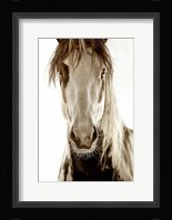 Wilbur Cruz Fine Art Print