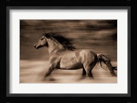 Wind Runner Fine Art Print