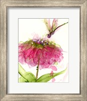 Dragonfly and Zinnia Fine Art Print