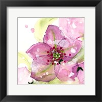 Pink Flower in the Snow Fine Art Print