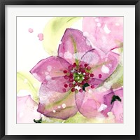 Pink Flower in the Snow Fine Art Print