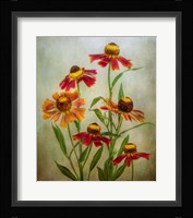 Cabaret Fine Art Print