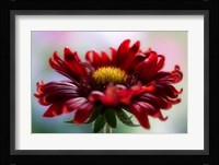 Flame Fine Art Print