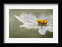 Whisper Fine Art Print